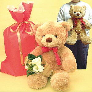 G蔲QIlC AURORAj[tbtB[xA(MTCY)Ɖԑ(B)ZbgAv[gp̋ВܓA(E͏)wjAzCgf[ANX}XAav[