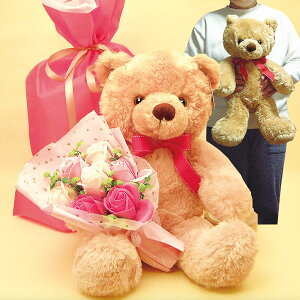 G蔲QIlC AURORAj[tbtB[xA(MTCY)ƍ[Yu[P(sbRu[PEsNAMtgpȎ񂰑ܓ)̃ZbgA(E͏)wjAz