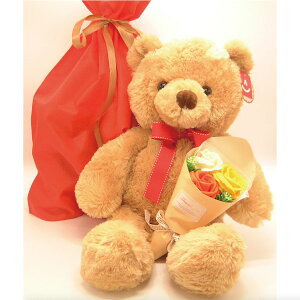 AURORAj[tbtB[xA(S48cm)ƃ[Yu[P(IW)̃ZbgAMtgpВܓA(E͏)ƁEwjAzCgf[Eo^CɁANX}X