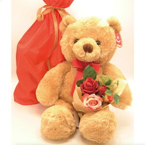 AURORAj[tbtB[xA(S48cm)ƃ[Yu[P()̃ZbgAMtgpВܓA(E͏)ƁEwjAzCgf[Eo^CɁANX}XAa