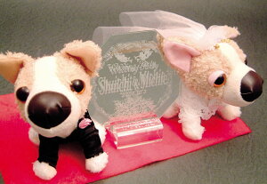 EGfBO` ƃbZ[W~[ (p`)(X^ht)