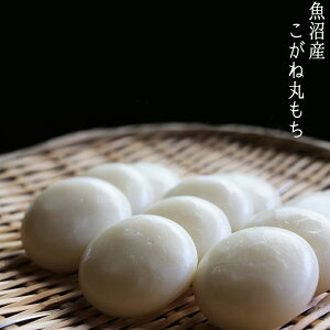 Y ˊۂ 400g×5 ۖ ˂  z㐻 {B