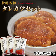 元祖新潟タレカツセット2人前×3パック とんかつ太郎監修 たれカツ丼 新潟名物 たれかつ丼 お土産 秘伝タ…
