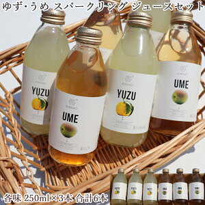 ギフト ゆずとうめのスパークリングジュース6本セット 各味3本 キミノドリンク 国産