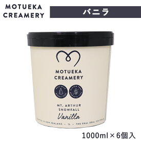 アイスクリーム モツエカクリームリー バニラ 1000ml×6個 モツエカアイス 濃厚 大容量 スイーツ デザート