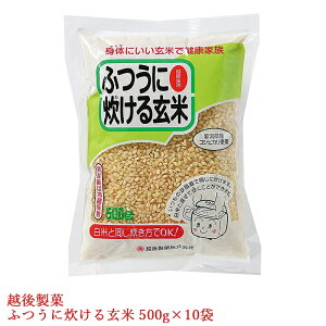  ӂɐ錺 500g×10 VYRVqJ100% z㐻 lEkCEBE s