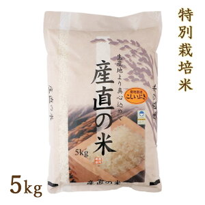 新米 新潟県産 特別栽培米 こしいぶき 5kg 令和7年度産 お取り寄せ ギフト 贈り物