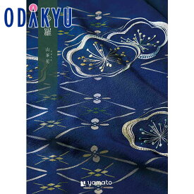 ＼小田急百貨店公式／ カタログギフト ギフト カタログ 百貨店包装 20000円台 2万円台 選べるギフト 沙羅 さら 山茶花 さざんか 贈り物 結婚祝い 内祝い 出産祝い お返し 香典返し 法要 お礼 送料無料 ※7-10日程度でお届け(直)