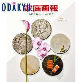 ＼小田急百貨店公式／ カタログギフト ギフト カタログ 百貨店包装 20000円台 2万円台 家庭画報 グルメギフトカタログ すおう 贈り物 結婚祝い 内祝い 出産祝い お返し 香典返し 法要 お礼 送料無料 ※7-10日程度でお届け(直)