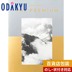 _c}SݓX^ J^OMtg Mtg J^O SݓX 100000~ 10~ x U v~A Vo[   蕨 j j oYj j Ԃ T
