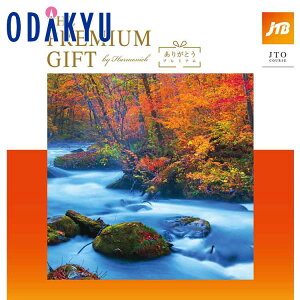 _c}SݓX^ J^OMtg Mtg J^O SݓX 30000~ 3~ ̌ G THE PREMIUM GIFT 肪Ƃv~A JTOR[X 蕨 j j oYj Ԃ T