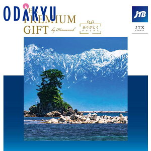 _c}SݓX^ J^OMtg Mtg J^O SݓX 70000~ 7~ ̌ G THE PREMIUM GIFT 肪Ƃv~A JTXR[X  蕨 j j oYj Ԃ 