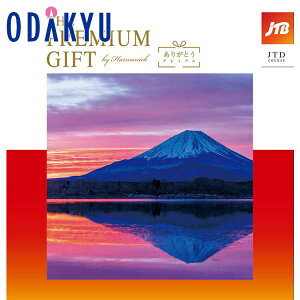 _|Cg6{^ _c}SݓX^ J^OMtg Mtg J^O SݓX 100000~ 10~ ̌ G THE PREMIUM GIFT 肪Ƃv~A JTDR[X  蕨 j j