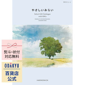 _c}SݓX^ J^OMtg Mtg J^O SݓX 10000~ 1~ GVJ SDGs O G ₳݂炢 R[X  蕨 j j oYj j