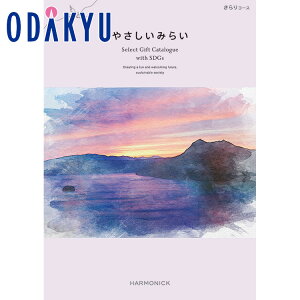 P10�{ �_���c�}�S�ݓX�����^ �J�^���O�M�t�g �M�t�g �J�^���O �S�ݓX� 20000�~�� 2���~�� �G�V�J�� SDGs �O���� �G�� �₳�����݂炢 �����R�[�X ������ ���蕨 �����j�� ���j�� �o�Y�j�� 