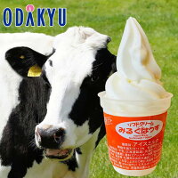 お中元 夏ギフト スイーツ ［ おウチで食べる北海道牛乳 ソフトクリーム MHV-１０ ］ ※北海道・四国・九州・離島へは届不可