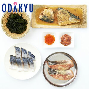   Yn  m kOVRs n kOC̐HZbg b7-10xł̂͂Eւ͓͕s()