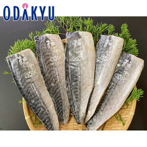   Yn  m ~̂ n ΉtB 5Zbg b7-10xł̂͂Eւ͓͕s()