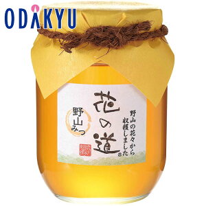   Yn  m BI̎q{ n Ԃ̓ R݂ b7-10xł̂͂Eւ͓͕s()