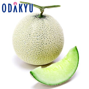   Yn  ÉY NE}XN  b7-10xł̂͂kCElEBEEւ͓͕s()