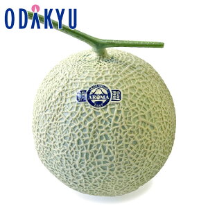   Yn  ÉY A[}}XN  b7-10xł̂͂kCElEBEEւ͓͕s()