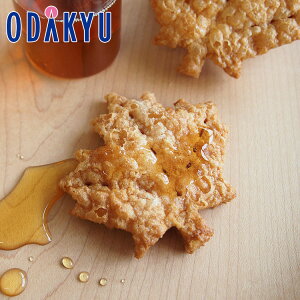 Mtg  m gVECdJ n [v[tpC 10 b7-10xł̂͂Eւ͓͕s()