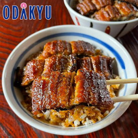 お取り寄せ 産地直送 送料無料 ［ うなぎの新甫 ］ うな丼三人前セット ｜7-10日程度でのお届け※北海道・沖縄・離島へは届不可(直)