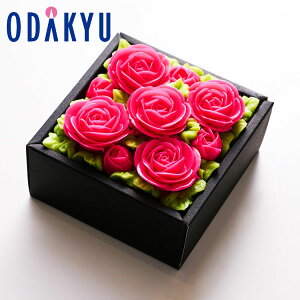   mَq Yn  Hׂ邨Ԃ̃~j{bNXP[L GKgsN b7-10xł̂͂Eւ͓͕s()