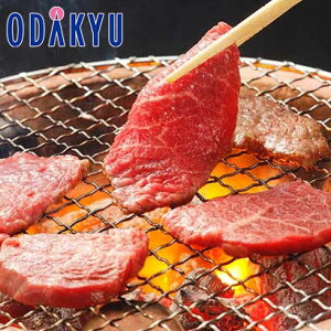    Yn Mtg  m s ^ n Yјa oEē b7-10xł̂͂Eւ͓͕s()