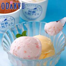 お取り寄せ ごちそう アイスクリーム 産地直送 ギフト 送料無料 ［ 熊本 阿蘇天然アイス ］ 8個セット ｜7-10日程度でのお届け※沖縄・離島へは届不可(直)