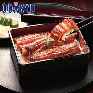   V  Y Ȃ KU100 b7-10xł̂͂Eւ͓͕s()