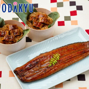   V  Ȃ≮̊ĂElߍ킹 8480016 D311 b7-10xł̂͂Eւ͓͕s()