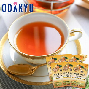  O Yn  m FsόY n ag A[OCIW 6 b7-10xł̂͂Eւ͓͕s()