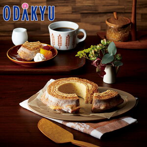  O Yn  ~Jh̃R[q[oE b7-10xł̂͂kCElEBEEւ͓͕s()