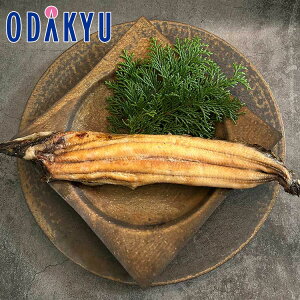   Yn  m ꂢ퐅Y n ˉV 3 Ă b7-10xł̂͂kCEEւ͓͕s()