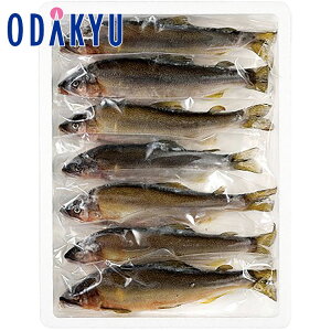  y Yn  m эK n Ă Ă SSY-7 b7-10xł̂͂kCEEւ͓͕s()