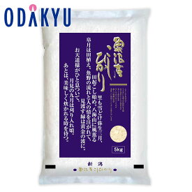 お米 令和 7年産 お取り寄せ 送料無料 ［ 堀商店 ］ 魚沼コシヒカリ 紺 5kg ｜7-10日程度でのお届け※沖縄・離島へは届不可(直)