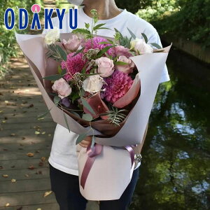 t[Mtg  m flower toujours n u[P Sweet bł攭7-10xsE_ސ쌧݂̂͂()