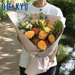 t[Mtg  m flower toujours n u[P Vitamin bł攭7-10xsE_ސ쌧݂̂͂()