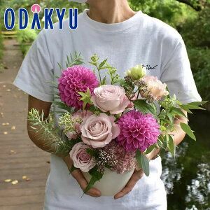 t[Mtg  m flower toujours n AWgS Sweet bł攭7-10xsE_ސ쌧݂̂͂()