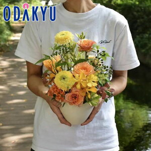 t[Mtg  m flower toujours n AWgS Vitamin bł攭7-10xsE_ސ쌧݂̂͂()