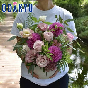 t[Mtg  m flower toujours n AWgM Sweet bł攭7-10xsE_ސ쌧݂̂͂()