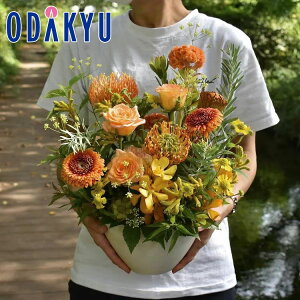 t[Mtg  m flower toujours n AWgM Vitamin bł攭7-10xsE_ސ쌧݂̂͂()