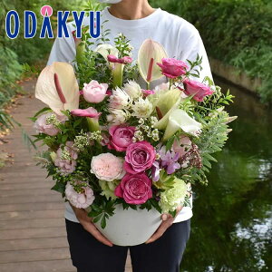 t[Mtg  m flower toujours n AWgL Sweet bł攭7-10xsE_ސ쌧݂̂͂()