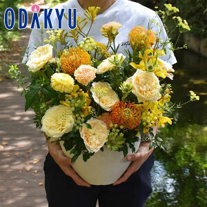 t[Mtg  m flower toujours n AWgL Vitamin bł攭7-10xsE_ސ쌧݂̂͂()