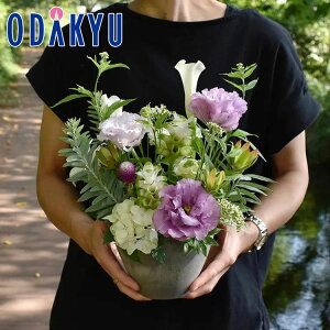   m flower toujours n AWgS PaStel bł攭7-10xsE_ސ쌧݂̂͂()