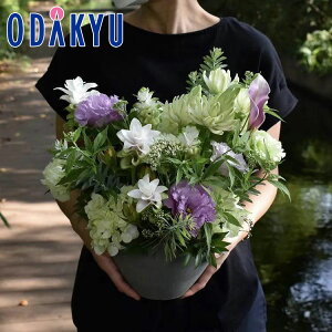   m flower toujours n AWgM PaStel bł攭7-10xsE_ސ쌧݂̂͂()