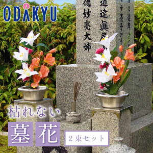 ~ 㕧 m 㕧d n MF sA[ b3-10xł̂͂Eւ͓͕s(B)