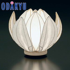 ~ m 㕧d n ~ ͂Ȃ zCg b3-10xł̂͂Eւ͓͕s(B)