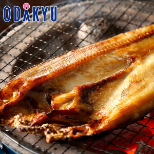   Yn  kCY ^zbPJ 3 b7-10xł̂͂Eւ͓͕s()